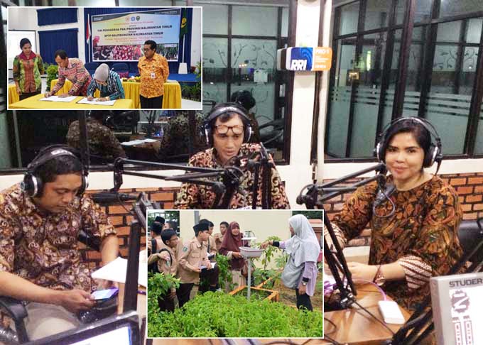 BPTP Kaltim Sosialisasi KRPL dan Gertamcabai dengan Pendengar RRI Samarinda